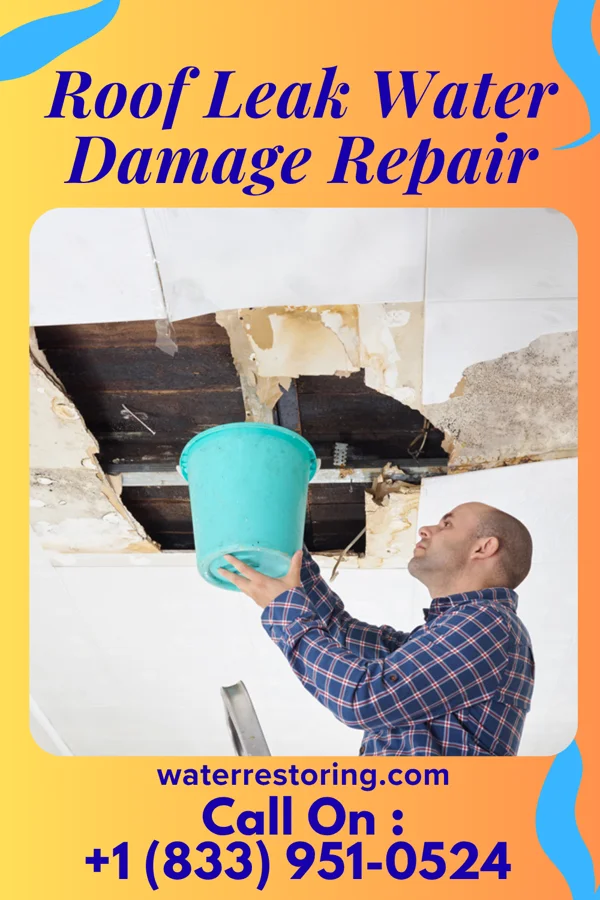 Roof Leak Water Damage Repair in Fayette, AL